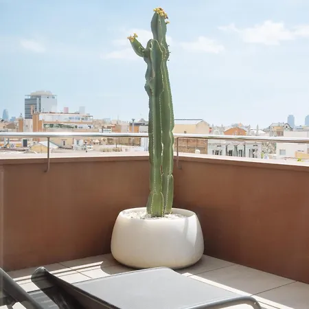 Arconte (adults Only) Hotel Barcelona